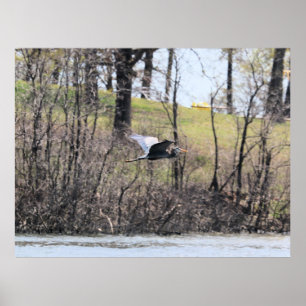 Fliegen durch poster