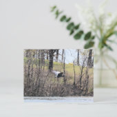 Fliegen durch postkarte (Stehend Vorderseite)