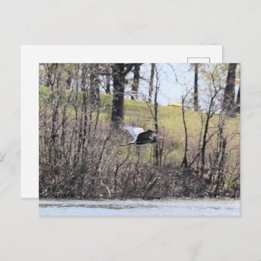 Fliegen durch postkarte (Vorne/Hinten)