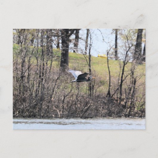 Fliegen durch postkarte (Vorderseite)