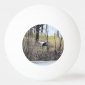 Fliegen durch tischtennisball (Rückseite)