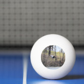 Fliegen durch tischtennisball (Netto)