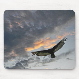 Fliegen Eagle Mousepad