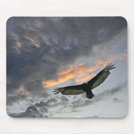Fliegen Eagle Mousepad (Vorne)