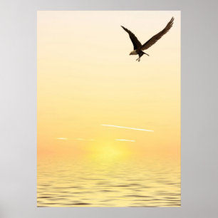 Fliegen Eagle Poster