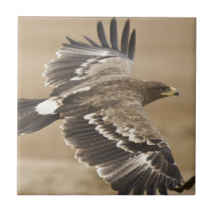 Fliegen-Eagle-Vogel-Fliese Fliese