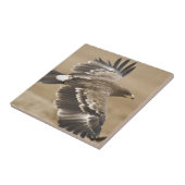 Fliegen-Eagle-Vogel-Fliese Fliese (Seite)