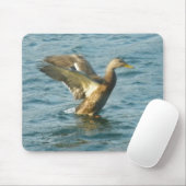 Fliegen-Ente Mousepad (Mit Mouse)