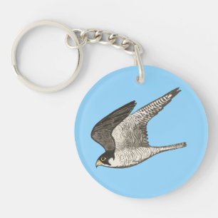 Fliegen-Falke farbige Bleistiftkunst auf Blau Schlüsselanhänger