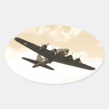 Fliegen-Festung im Flug