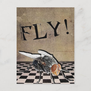 Fliegen! Fliegen! Fliegen! Postkarte
