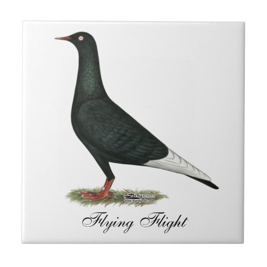 Fliegen-Flug-Schwarz-Taube Fliese (Vorderseite)