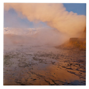 Fliegen Geyser in der Schwarzen Felsenwüste Fliese