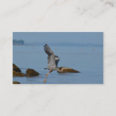 Fliegen-Graureiher Visitenkarte (Rückseite)