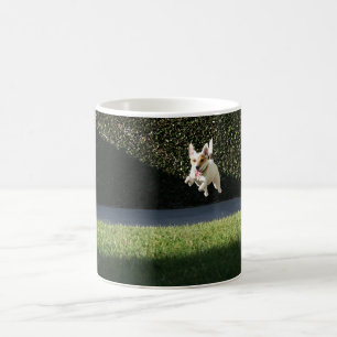 Fliegen-Jack-Russell-Tasse Kaffeetasse