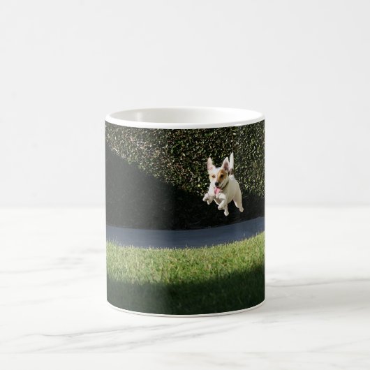 Fliegen-Jack-Russell-Tasse Kaffeetasse (Mittel)