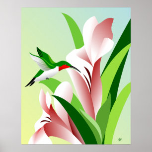 Fliegen-karminroter Throated männlicher Kolibri Poster