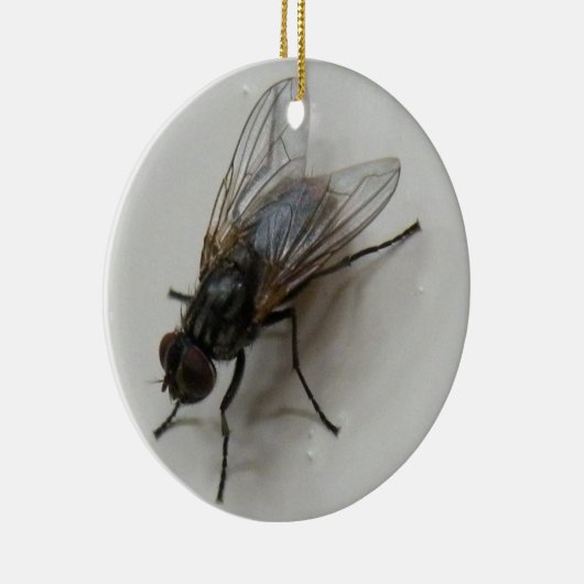 Fliegen Keramikornament (Rechts)