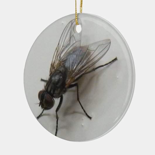 Fliegen Keramikornament (Links)