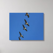 Fliegen Leinwanddruck (Vorderseite)