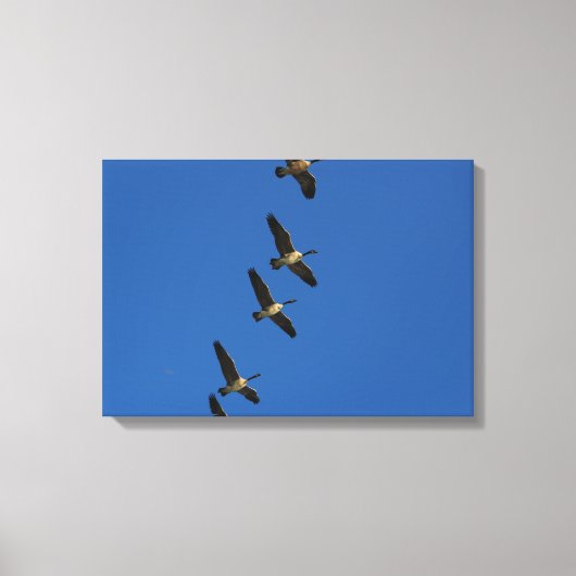 Fliegen Leinwanddruck (Vorderseite)