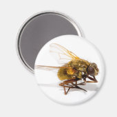 Fliegen Magnet (Vorderseite/Rückseite)