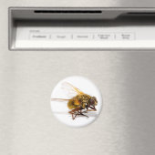Fliegen Magnet (In Situ (Geschirrspüler))
