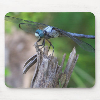 Fliegen-Maus Mousepad