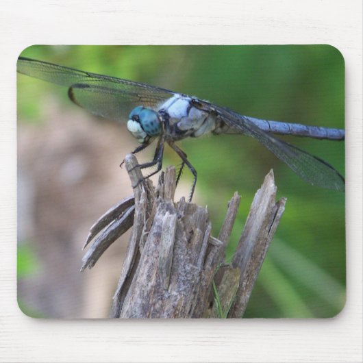 Fliegen-Maus Mousepad (Vorne)