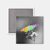 Fliegen mit Stolz Magnet (Vorderseite/Rückseite)