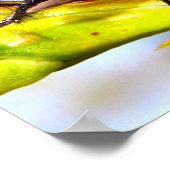 Fliegen Poster (Ecke)