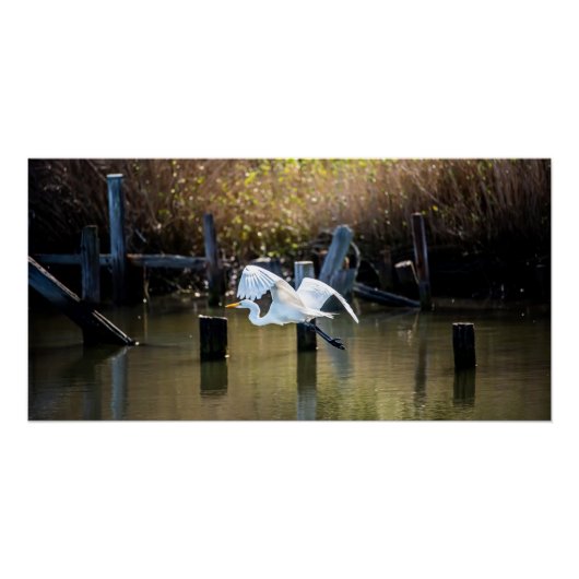 Fliegen Poster (Vorderseite)