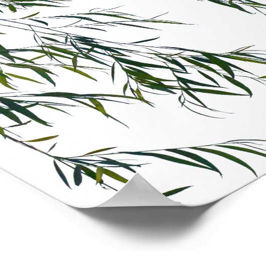 Fliegen Poster (Ecke)