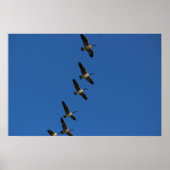 Fliegen Poster (Vorne)