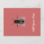 Fliegen Postkarte (Vorderseite)