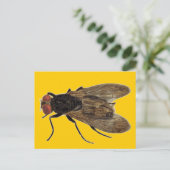 Fliegen Postkarte (Stehend Vorderseite)