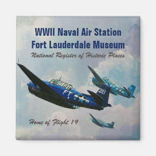 Fliegen-Rächer Magnet