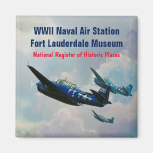 Fliegen-Rächer Magnet