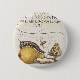 Fliegen, Raupe, Birne und Zentipede aus Mira Button