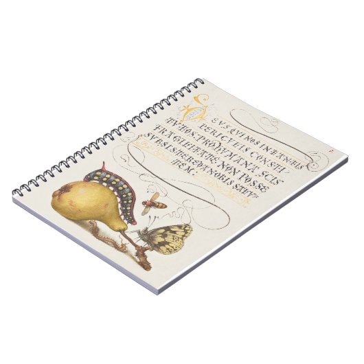 Fliegen, Raupe, Birne und Zentipede aus Mira Notizblock (Linke Seite)