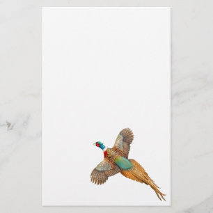 Fliegen Ringneck Fasan-Briefpapier Briefpapier