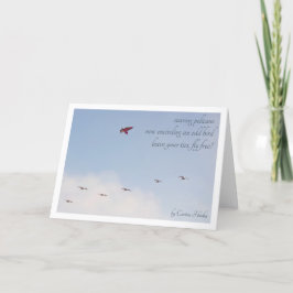 Fliegen Sie freien Haiku (oder schreiben Sie Ihr Karte