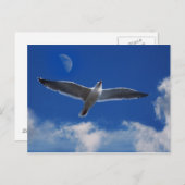 Fliegen Sie mit mir Postkarte (Vorne/Hinten)