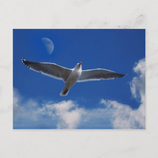 Fliegen Sie mit mir Postkarte