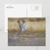 Fliegen Sie mit mir Postkarte (Vorne/Hinten)