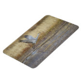 Fliegen Sie mit mir Sandhill Crane Magnet (Linke Seite)