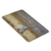 Fliegen Sie mit mir Sandhill Crane Magnet (Rechte Seite)