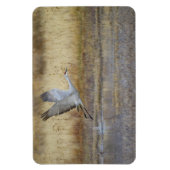 Fliegen Sie mit mir Sandhill Crane Magnet (Vertikal)