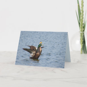 Fliegen Sie mit mir weg - Mallard Duck Grußkarte Karte