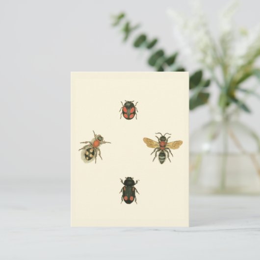Fliegen und Käfer durch Visions-Studio Postkarte (Stehend Vorderseite)